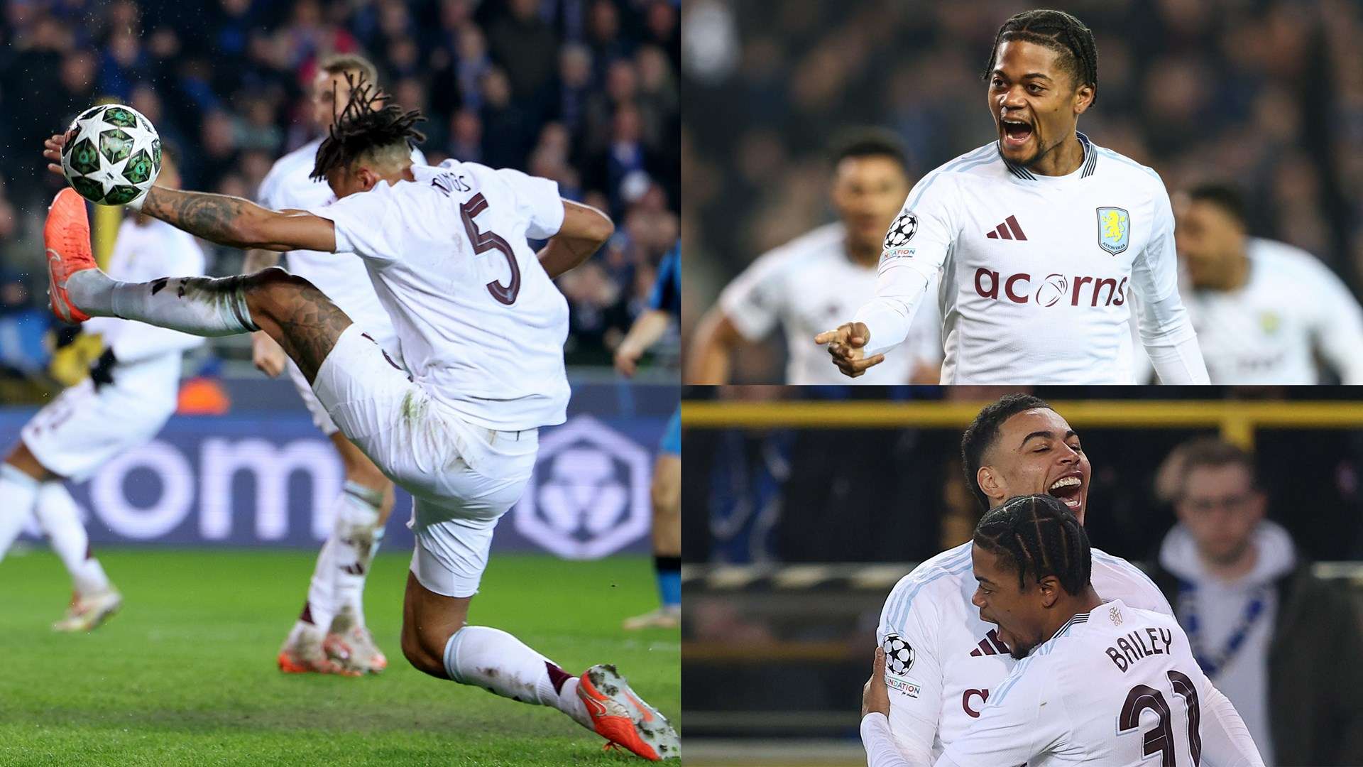 种全球性的 种全球性的